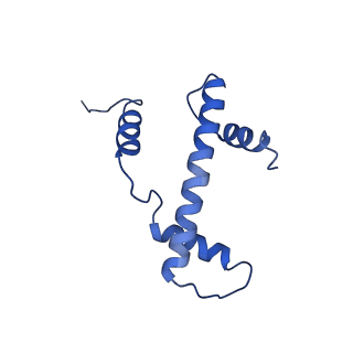 9719_6k1p_A_v1-1
The complex of ISWI-nucleosome in the ADP.BeF-bound state