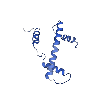 9719_6k1p_A_v1-2
The complex of ISWI-nucleosome in the ADP.BeF-bound state