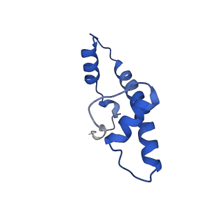 9719_6k1p_B_v1-1
The complex of ISWI-nucleosome in the ADP.BeF-bound state