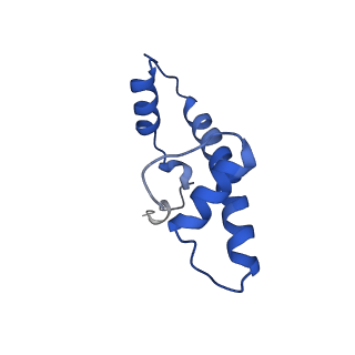 9719_6k1p_B_v1-2
The complex of ISWI-nucleosome in the ADP.BeF-bound state