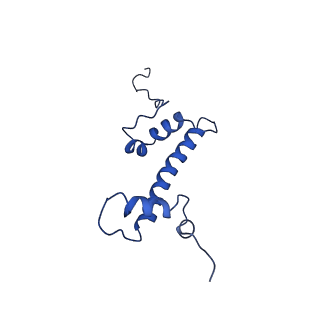 9719_6k1p_C_v1-1
The complex of ISWI-nucleosome in the ADP.BeF-bound state