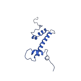 9719_6k1p_C_v1-2
The complex of ISWI-nucleosome in the ADP.BeF-bound state