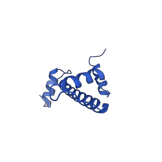 9719_6k1p_E_v1-1
The complex of ISWI-nucleosome in the ADP.BeF-bound state