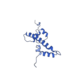 9719_6k1p_G_v1-1
The complex of ISWI-nucleosome in the ADP.BeF-bound state