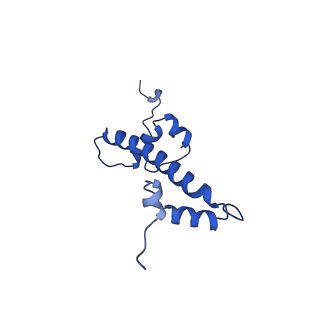 9719_6k1p_G_v1-2
The complex of ISWI-nucleosome in the ADP.BeF-bound state