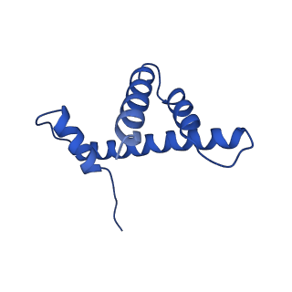 9719_6k1p_H_v1-2
The complex of ISWI-nucleosome in the ADP.BeF-bound state