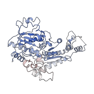 9719_6k1p_K_v1-1
The complex of ISWI-nucleosome in the ADP.BeF-bound state