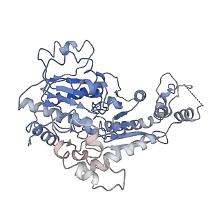 9719_6k1p_K_v1-2
The complex of ISWI-nucleosome in the ADP.BeF-bound state