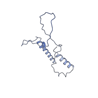 9905_6k15_F_v1-2
RSC substrate-recruitment module