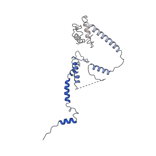 9905_6k15_J_v1-2
RSC substrate-recruitment module