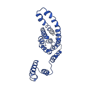 9906_6k1h_B_v2-0
Structure of membrane protein