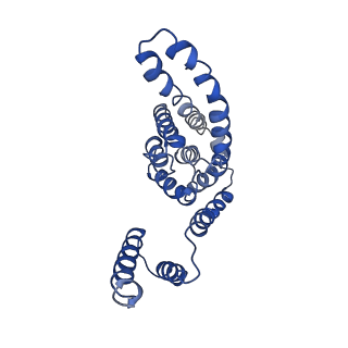 9906_6k1h_B_v2-1
Structure of membrane protein