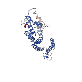 9906_6k1h_C_v1-3
Structure of membrane protein