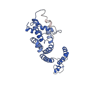 9906_6k1h_C_v2-0
Structure of membrane protein