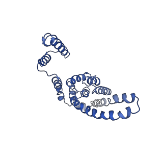 9906_6k1h_E_v1-3
Structure of membrane protein