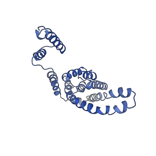 9906_6k1h_E_v2-1
Structure of membrane protein