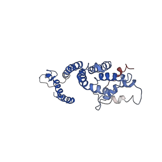 9906_6k1h_F_v1-3
Structure of membrane protein