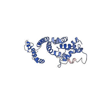 9906_6k1h_F_v2-0
Structure of membrane protein