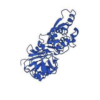 22638_7k20_A_v1-1
Cryo-EM structure of pyrene-labeled ADP-actin filaments