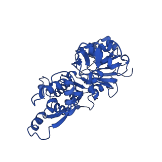 22638_7k20_B_v1-1
Cryo-EM structure of pyrene-labeled ADP-actin filaments