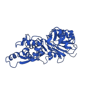 22638_7k20_D_v1-1
Cryo-EM structure of pyrene-labeled ADP-actin filaments