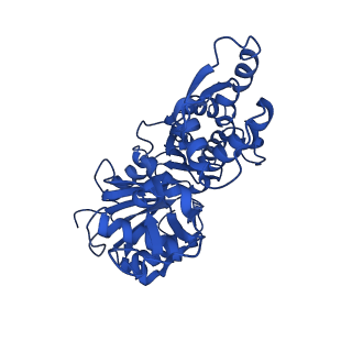 22639_7k21_A_v1-1
Cryo-EM structure of pyrene-labeled ADP-Pi-actin filaments