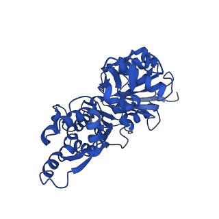 22639_7k21_B_v1-1
Cryo-EM structure of pyrene-labeled ADP-Pi-actin filaments