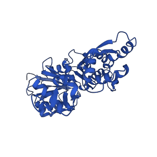 22639_7k21_C_v1-1
Cryo-EM structure of pyrene-labeled ADP-Pi-actin filaments