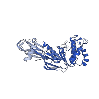 22644_7k2t_A_v1-1
Mg2+/ATP-bound structure of the full-length WzmWzt O antigen ABC transporter in lipid nanodiscs