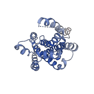 22644_7k2t_B_v1-1
Mg2+/ATP-bound structure of the full-length WzmWzt O antigen ABC transporter in lipid nanodiscs