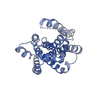 22644_7k2t_B_v1-2
Mg2+/ATP-bound structure of the full-length WzmWzt O antigen ABC transporter in lipid nanodiscs