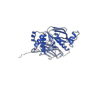 22644_7k2t_C_v1-1
Mg2+/ATP-bound structure of the full-length WzmWzt O antigen ABC transporter in lipid nanodiscs