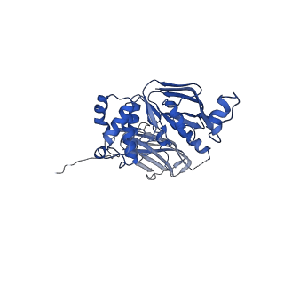 22644_7k2t_C_v1-2
Mg2+/ATP-bound structure of the full-length WzmWzt O antigen ABC transporter in lipid nanodiscs