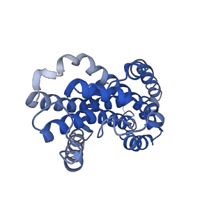 22644_7k2t_D_v1-1
Mg2+/ATP-bound structure of the full-length WzmWzt O antigen ABC transporter in lipid nanodiscs