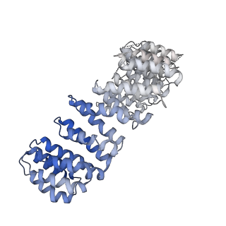 22650_7k36_A_v1-2
Cryo-EM structure of STRIPAK complex