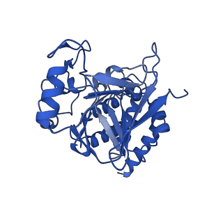 22650_7k36_C_v1-2
Cryo-EM structure of STRIPAK complex