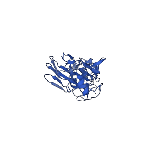 22652_7k37_E_v1-1
Structure of full-length influenza HA with a head-binding antibody at pH 7.8