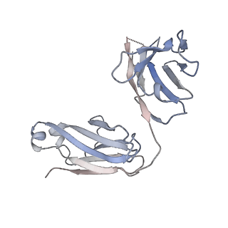 22652_7k37_I_v1-1
Structure of full-length influenza HA with a head-binding antibody at pH 7.8
