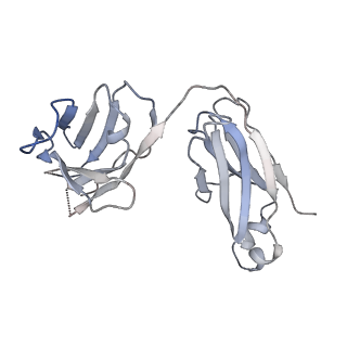 22652_7k37_K_v1-1
Structure of full-length influenza HA with a head-binding antibody at pH 7.8