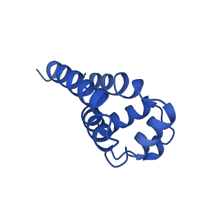 22656_7k3r_C_v1-1
Cryo-EM structure of AIM2-PYD filament