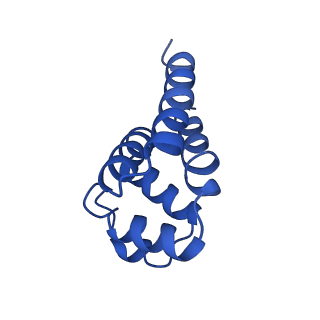 22656_7k3r_D_v1-1
Cryo-EM structure of AIM2-PYD filament