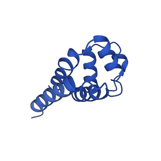 22656_7k3r_H_v1-1
Cryo-EM structure of AIM2-PYD filament