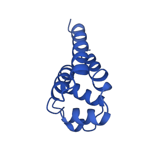 22656_7k3r_I_v1-1
Cryo-EM structure of AIM2-PYD filament