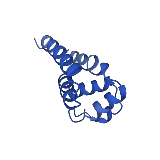 22656_7k3r_J_v1-1
Cryo-EM structure of AIM2-PYD filament