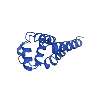 22656_7k3r_K_v1-1
Cryo-EM structure of AIM2-PYD filament