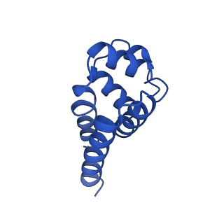 22656_7k3r_L_v1-1
Cryo-EM structure of AIM2-PYD filament