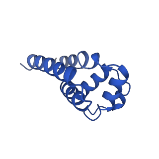 22656_7k3r_N_v1-1
Cryo-EM structure of AIM2-PYD filament