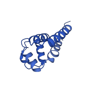 22656_7k3r_O_v1-1
Cryo-EM structure of AIM2-PYD filament