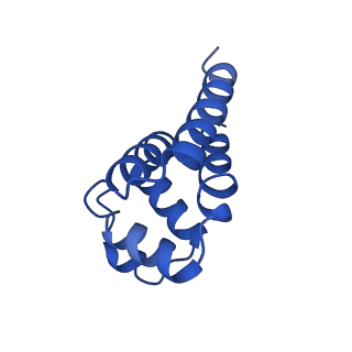 22656_7k3r_Q_v1-1
Cryo-EM structure of AIM2-PYD filament