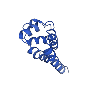 22656_7k3r_R_v1-1
Cryo-EM structure of AIM2-PYD filament